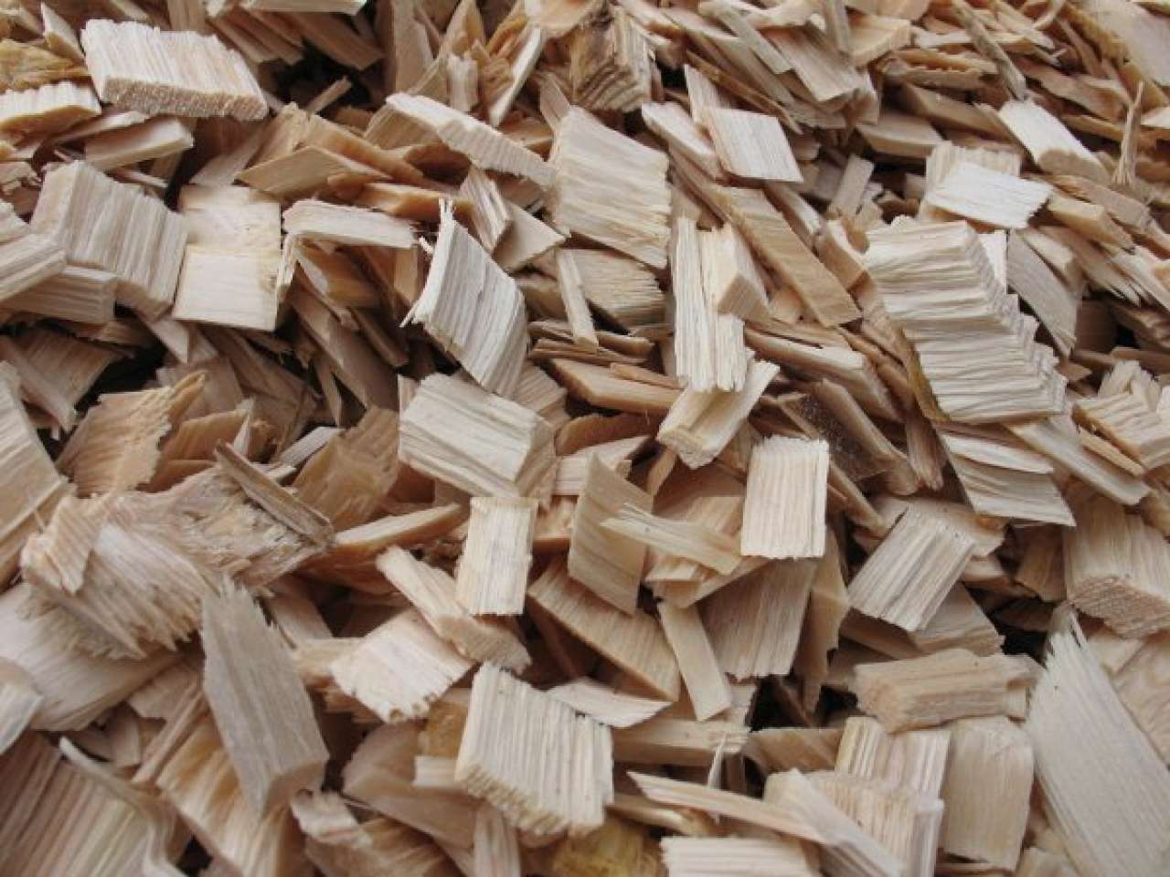 TRIBORN Triple Bottom Line Outcomes For Bioenergy Development And